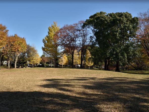 �_�ސ쌧����s�勘�̐V�z��ˌ��Ă̎��ӊ�