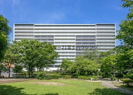 �_�ސ쌧����s�������̒��Ã}���V�����̌��n�O�ώʐ^