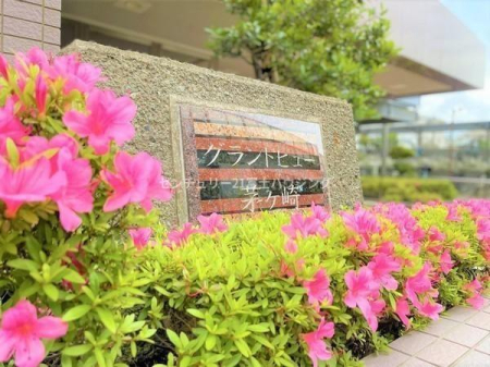 �_�ސ쌧������s���v�ۂ̒��Ã}���V�����̂��̑����n