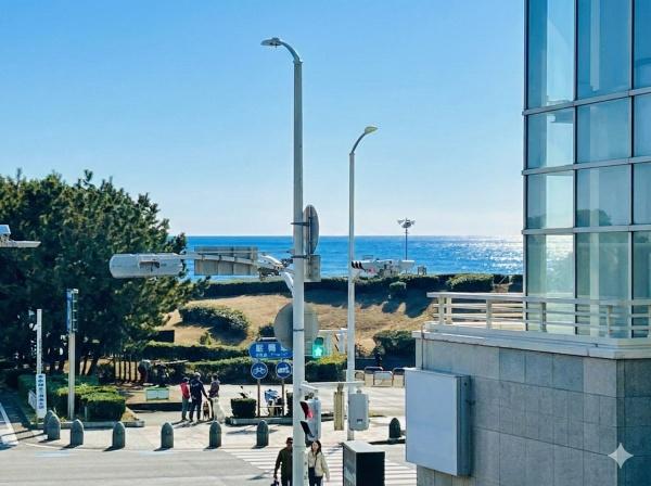 �_�ސ쌧����s�����C��1���ڂ̒��Ã}���V�����̏Z�˂���̒��]�ʐ^