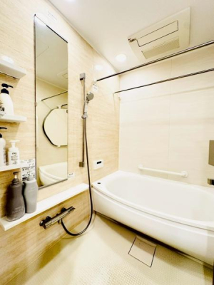 �_�ސ쌧���l�s�����D�T1���ڂ̒��Ã}���V�����̗���