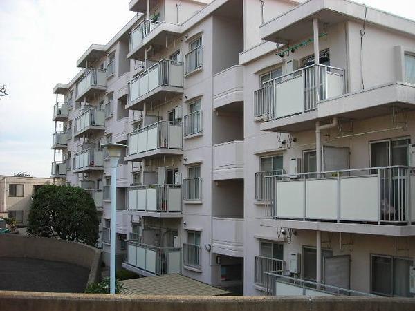 �_�ސ쌧����s�݂��̑�̒��Ã}���V�����̂��̑�