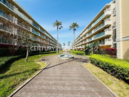 �_�ސ쌧����s�ғ����C��3���ڂ̒��Ã}���V�����̂��̑����n