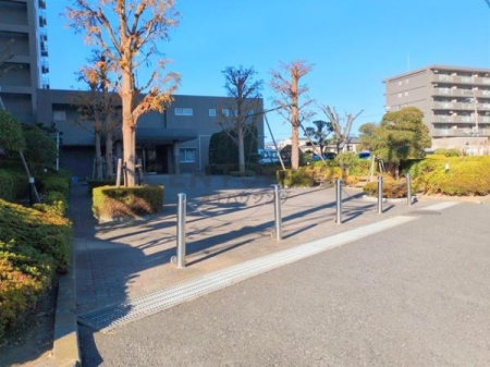 �_�ސ쌧������s��̒��Ã}���V�����̉摜