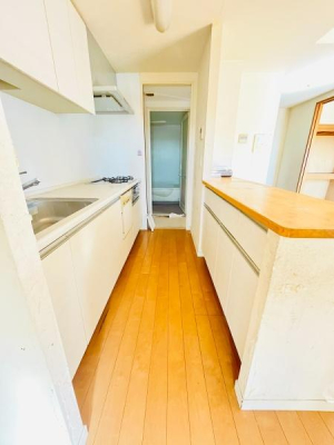 �_�ސ쌧����s���ؑ�1���ڂ̒��Ã}���V�����̃L�b�`��