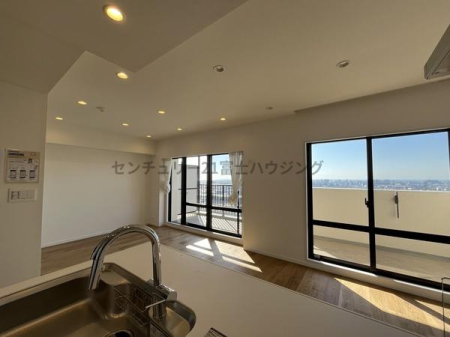 �_�ސ쌧������s�Ï��̒��Ã}���V�����̃��r���O