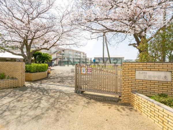 �_�ސ쌧������s�����̓y�n�̎��ӊ�