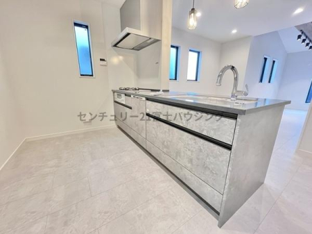 �_�ސ쌧������s�㊯���̐V�z��ˌ��ẴL�b�`��