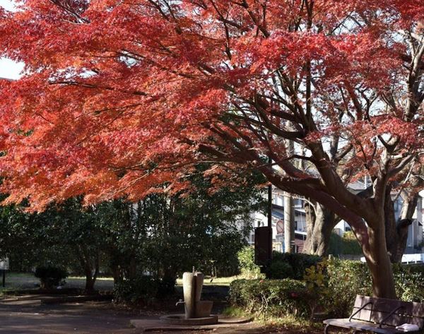 �_�ސ쌧����s���ӎ�4���ڂ̐V�z��ˌ��Ă̎��ӊ�