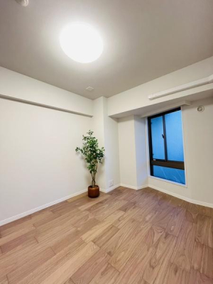 �_�ސ쌧���ˎs���Β��̒��Ã}���V�����̐Q��