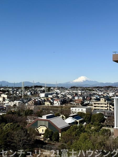 �_�ސ쌧����s���̒��Ã}���V�����̏Z�˂���̒��]�ʐ^