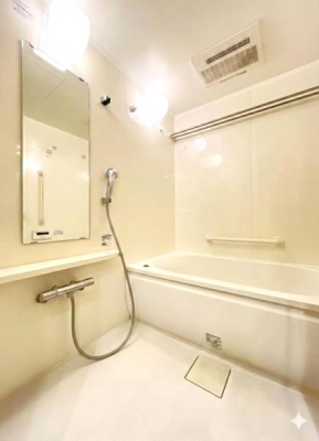 �_�ސ쌧����s���̒��Ã}���V�����̗���