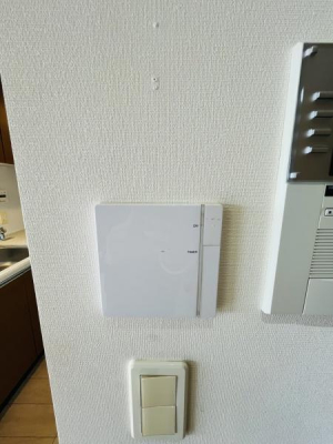 �_�ސ쌧����s���̒��Ã}���V�����̉摜