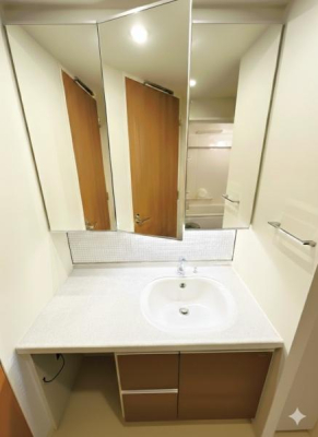 �_�ސ쌧����s���̒��Ã}���V�����̐��ʑ�E���ʏ�