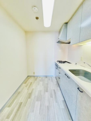 �_�ސ쌧����s�ғ��V��3���ڂ̒��Ã}���V�����̃L�b�`��