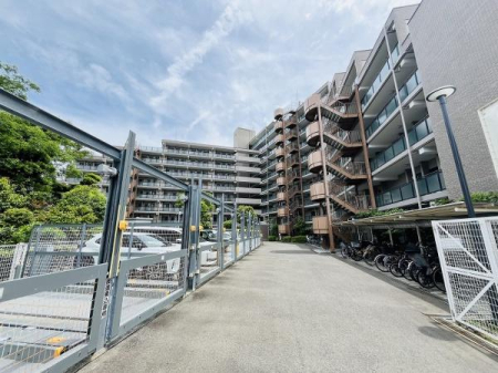 �_�ސ쌧����s�ғ��V��3���ڂ̒��Ã}���V�����̂��̑����p��