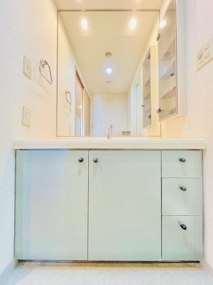 �_�ސ쌧����s�ғ��V��3���ڂ̒��Ã}���V�����̐��ʑ�E���ʏ�