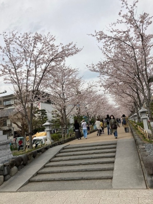 �_�ސ쌧���q�s�����2���ڂ̓y�n�̎��ӊ�