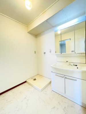 �_�ސ쌧����s���̒��Ã}���V�����̐��ʑ�E���ʏ�