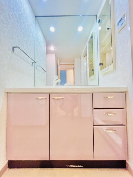 �_�ސ쌧������s���v�ۂ̒��Ã}���V�����̐��ʑ�E���ʏ�