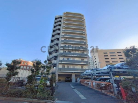 �_�ސ쌧����s�ғ��V��1���ڂ̒��Ã}���V�����̉摜