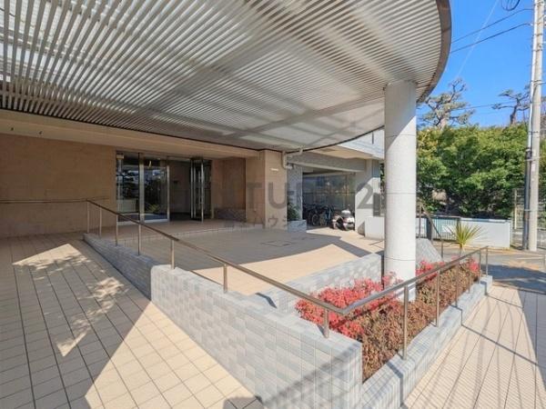 �_�ސ쌧������s���C��4���ڂ̒��Ã}���V�����̂��̑����p��