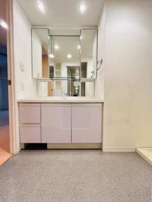 �_�ސ쌧������s�{��4���ڂ̒��Ã}���V�����̐��ʑ�E���ʏ�