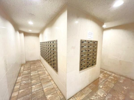 �_�ސ쌧���ˎs���l��̒��Ã}���V�����̂��̑����p��