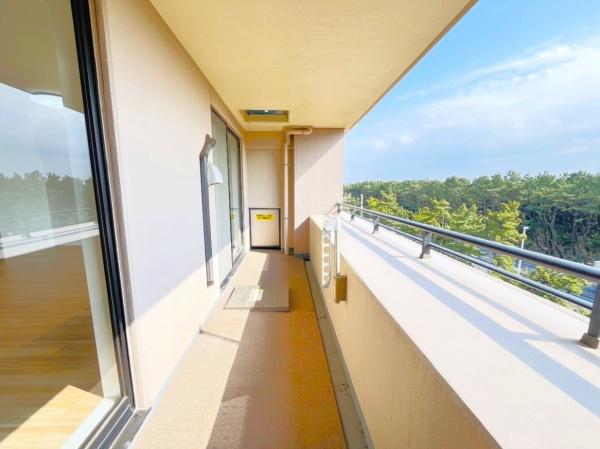 �_�ސ쌧���ˎs���l��̒��Ã}���V�����̃o���R�j�[