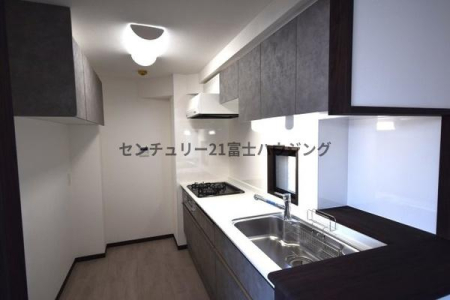 �_�ސ쌧����s����̒��Ã}���V�����̃L�b�`��