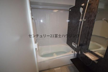 �_�ސ쌧����s����̒��Ã}���V�����̗���