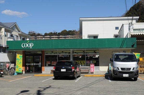 �_�ސ쌧���q�s���{�̒��Ã}���V�����̎��ӊ�