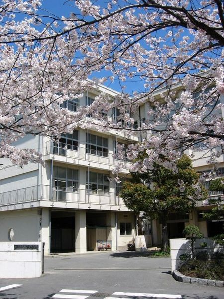 �_�ސ쌧���q�s�֒J�̒��Ã}���V�����̎��ӊ�