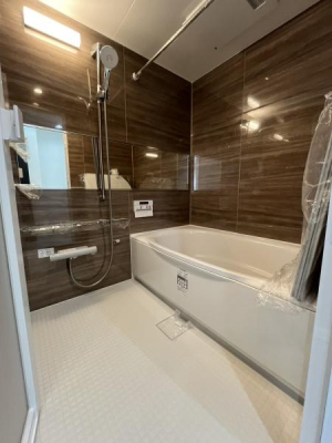 �_�ސ쌧������s������̒��Ã}���V�����̗���