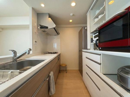 �_�ސ쌧�ɐ����s�Γc�̒��Ã}���V�����̃L�b�`��