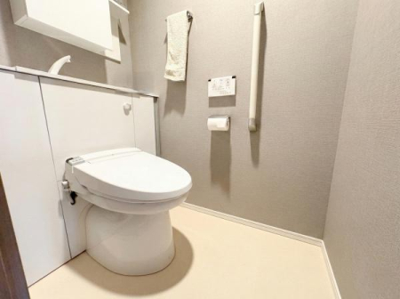 �_�ސ쌧�ɐ����s�Γc�̒��Ã}���V�����̃g�C��