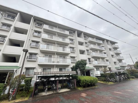 �_�ސ쌧������s�~��1���ڂ̒��Ã}���V�����̂��̑����n