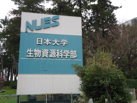 �_�ސ쌧����s�T���̓y�n�̎��ӊ�