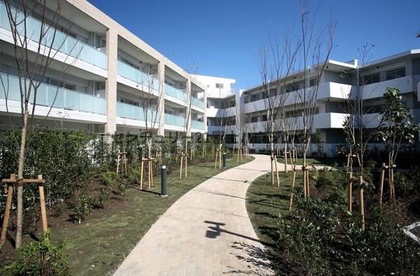 �_�ސ쌧����s����������3���ڂ̒��Ã}���V�����̂��̑����n