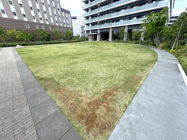 �_�ސ쌧�C�V���s��̒��Ã}���V�����̂��̑����p��