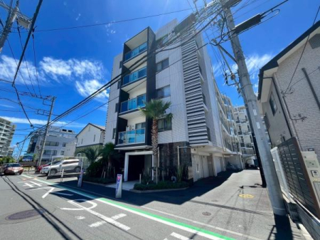 �_�ސ쌧������s�{�h���̒��Ã}���V�����̂��̑����n