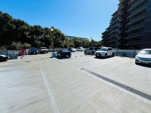 �_�ސ쌧����s�얼�̒��Ã}���V�����̉摜