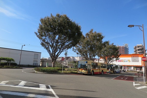 �_�ސ쌧����s���q�̓y�n�̎��ӊ�