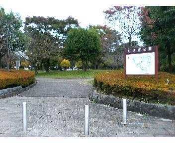 �_�ސ쌧����s��� 5056-4�̒��Ã}���V�����̎��ӊ�