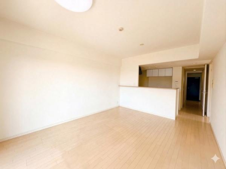 �_�ސ쌧������s���h�̒��Ã}���V�����̗m��