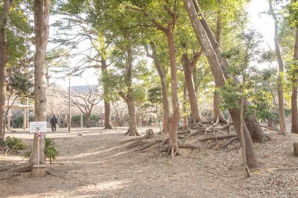 �_�ސ쌧������s�����u2���ڂ̒��È�ˌ��Ă̎��ӊ�