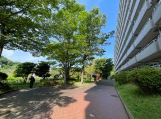 �_�ސ쌧���q�s�A�؂̒��Ã}���V�����̂��̑�