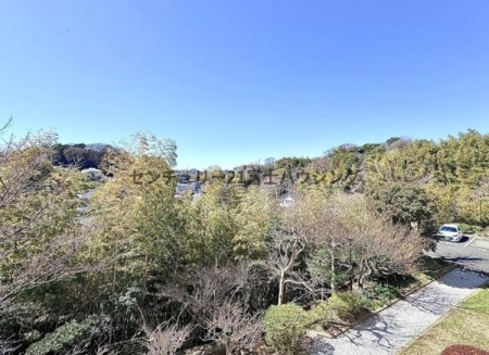 �_�ސ쌧���q�s�A�؂̒��Ã}���V�����̏Z�˂���̒��]�ʐ^