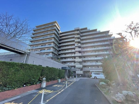 �_�ސ쌧����s���̒��Ã}���V�����̂��̑����n