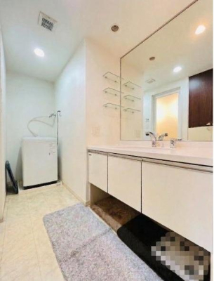 �_�ސ쌧������s���h�̒��Ã}���V�����̐��ʑ�E���ʏ�